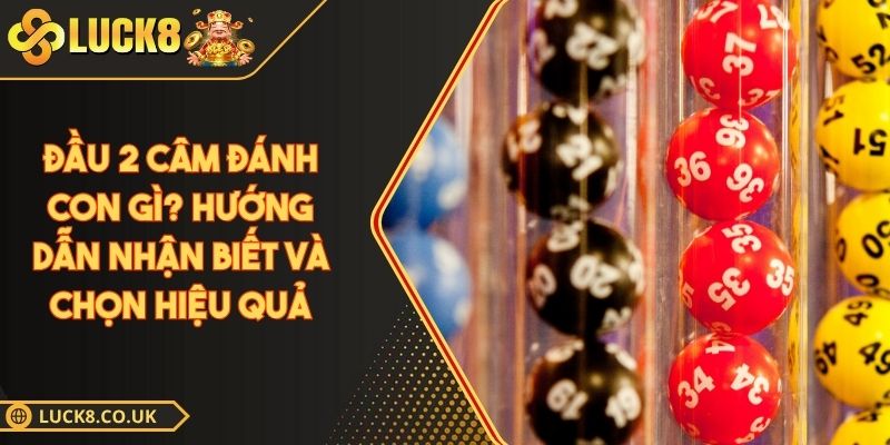 Đầu 2 câm đánh con gì